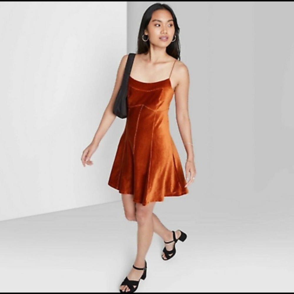 Wild Fable Dress